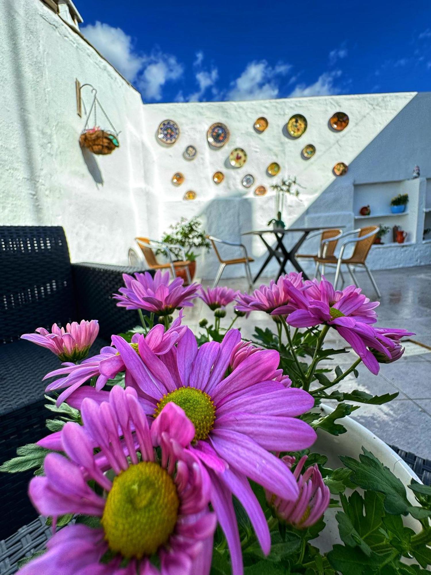 Casa Solua Holiday home